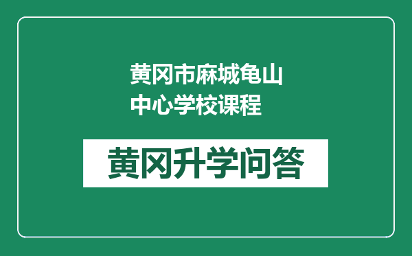 黄冈市麻城龟山中心学校课程