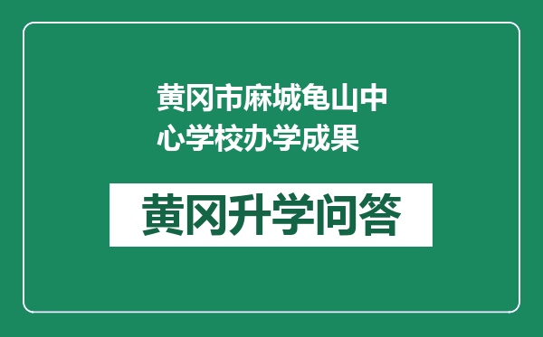 黄冈市麻城龟山中心学校办学成果
