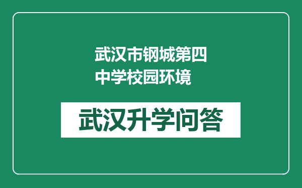 武汉市钢城第四中学校园环境