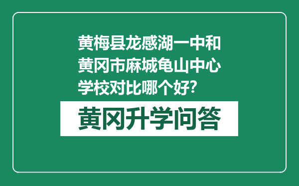 黄梅县龙感湖一中和黄冈市麻城龟山中心学校对比哪个好？