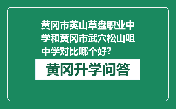 黄冈市英山草盘职业中学和黄冈市武穴松山咀中学对比哪个好？