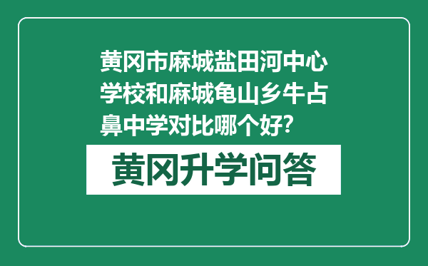 黄冈市麻城盐田河中心学校和麻城龟山乡牛占鼻中学对比哪个好？