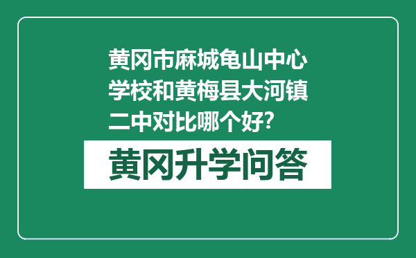 黄冈市麻城龟山中心学校和黄梅县大河镇二中对比哪个好？