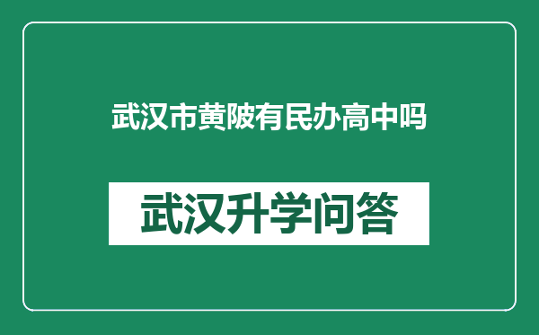 武汉市黄陂有民办高中吗