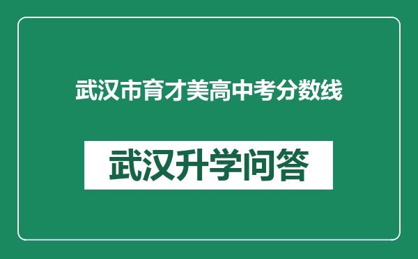 武汉市育才美高中考分数线