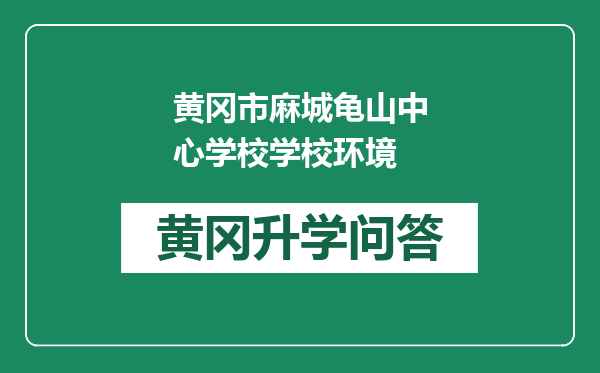 黄冈市麻城龟山中心学校学校环境