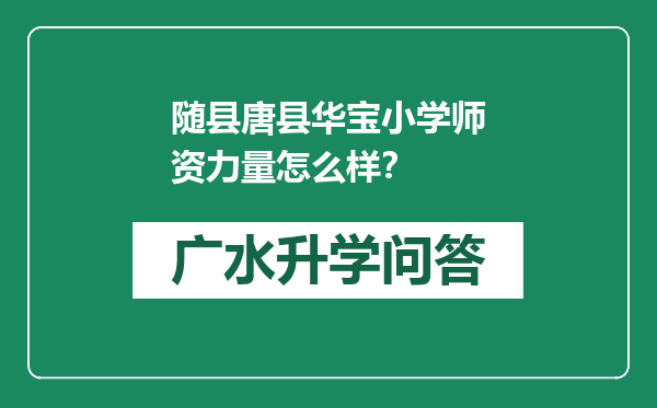 随县唐县华宝小学师资力量怎么样？