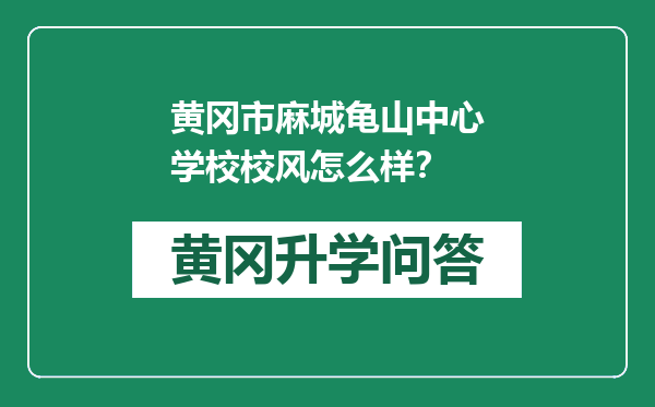 黄冈市麻城龟山中心学校校风怎么样？