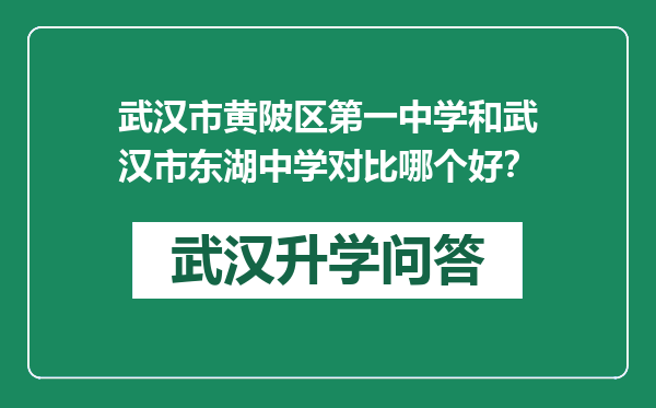 武汉市黄陂区第一中学和武汉市东湖中学对比哪个好？