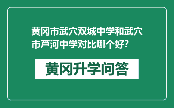黄冈市武穴双城中学和武穴市芦河中学对比哪个好？