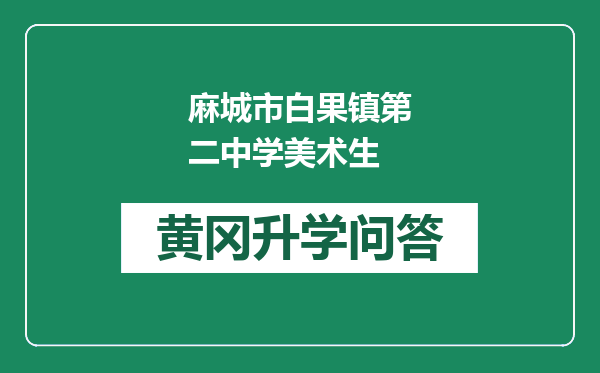 麻城市白果镇第二中学美术生