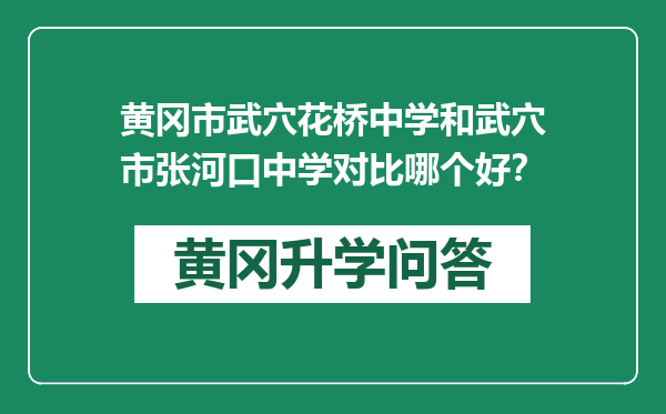黄冈市武穴花桥中学和武穴市张河口中学对比哪个好？