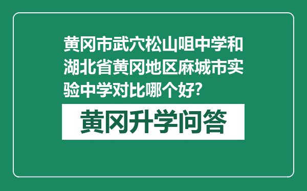 黄冈市武穴松山咀中学和湖北省黄冈地区麻城市实验中学对比哪个好？
