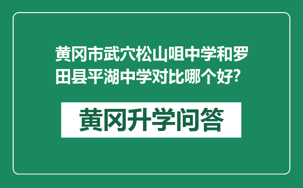 黄冈市武穴松山咀中学和罗田县平湖中学对比哪个好？