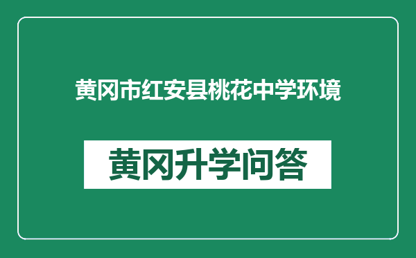 黄冈市红安县桃花中学环境