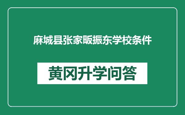 麻城县张家畈振东学校条件