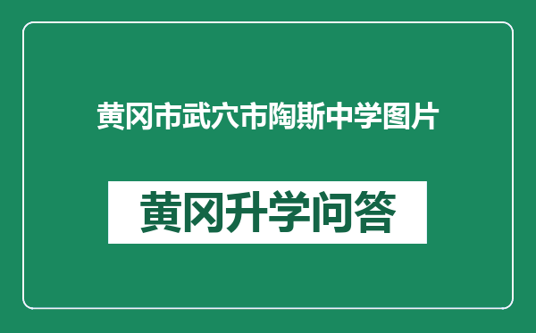黄冈市武穴市陶斯中学图片