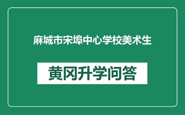 麻城市宋埠中心学校美术生