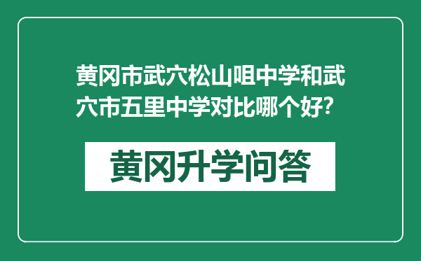 黄冈市武穴松山咀中学和武穴市五里中学对比哪个好？
