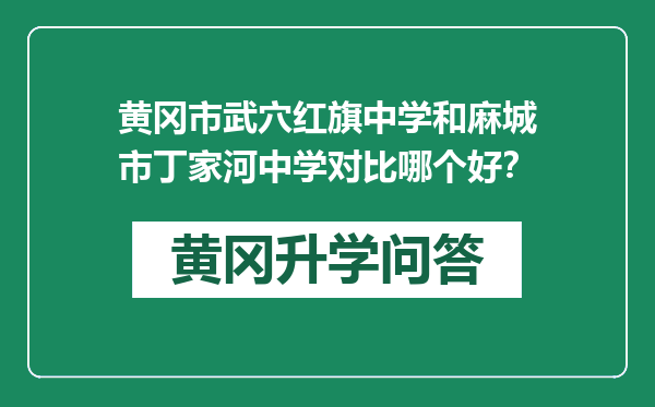 黄冈市武穴红旗中学和麻城市丁家河中学对比哪个好？