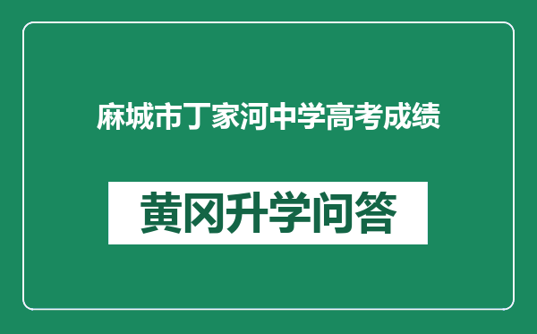 麻城市丁家河中学高考成绩