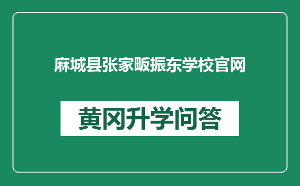 麻城县张家畈振东学校官网