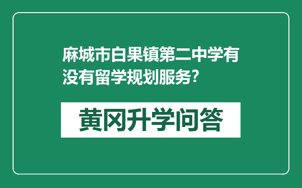 麻城市白果镇第二中学有没有留学规划服务？