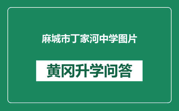 麻城市丁家河中学图片