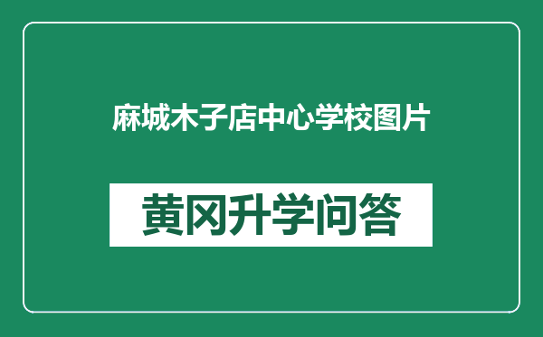麻城木子店中心学校图片