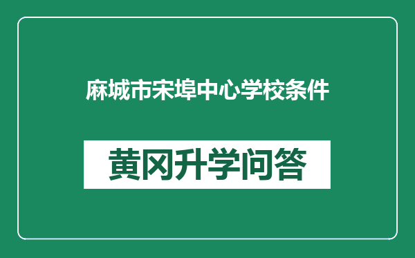 麻城市宋埠中心学校条件