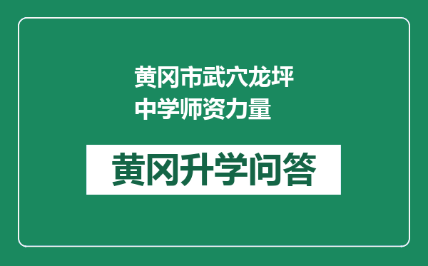 黄冈市武穴龙坪中学师资力量