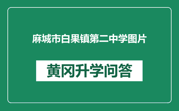 麻城市白果镇第二中学图片
