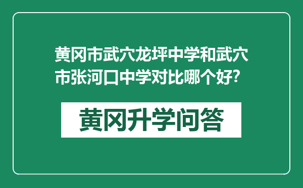 黄冈市武穴龙坪中学和武穴市张河口中学对比哪个好？