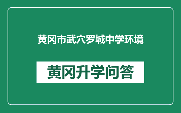 黄冈市武穴罗城中学环境