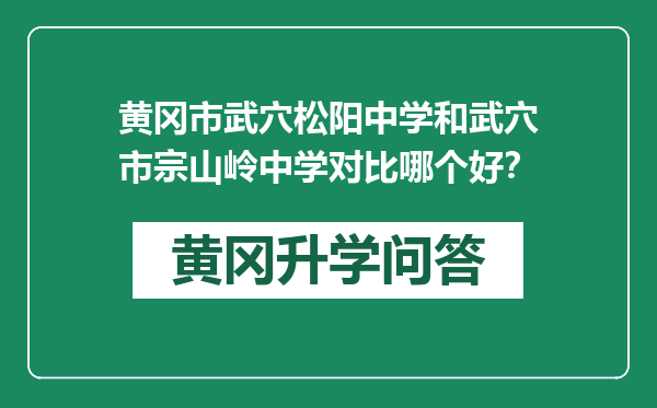 黄冈市武穴松阳中学和武穴市宗山岭中学对比哪个好？