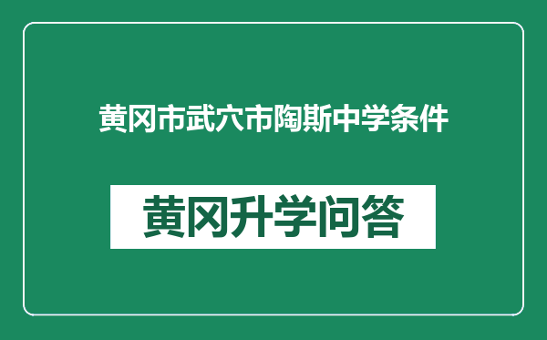 黄冈市武穴市陶斯中学条件