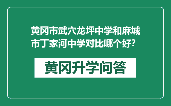 黄冈市武穴龙坪中学和麻城市丁家河中学对比哪个好？