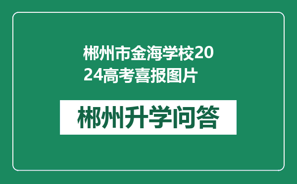 郴州市金海学校2024高考喜报图片