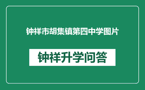 钟祥市胡集镇第四中学图片