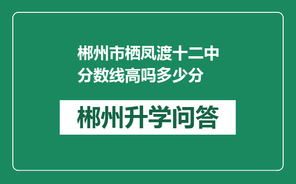 郴州市栖凤渡十二中分数线高吗多少分