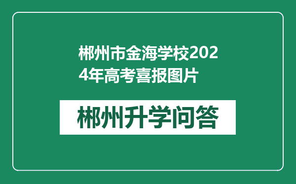 郴州市金海学校2024年高考喜报图片