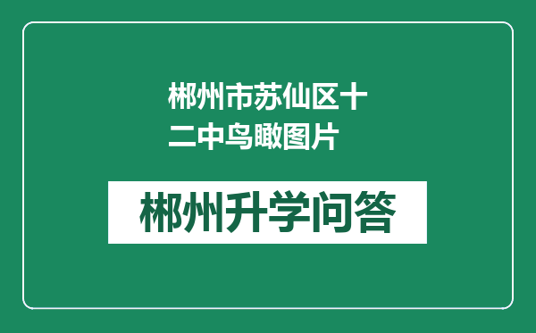 郴州市苏仙区十二中鸟瞰图片
