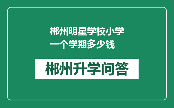 郴州明星学校小学一个学期多少钱