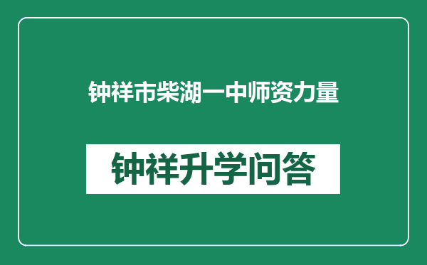钟祥市柴湖一中师资力量