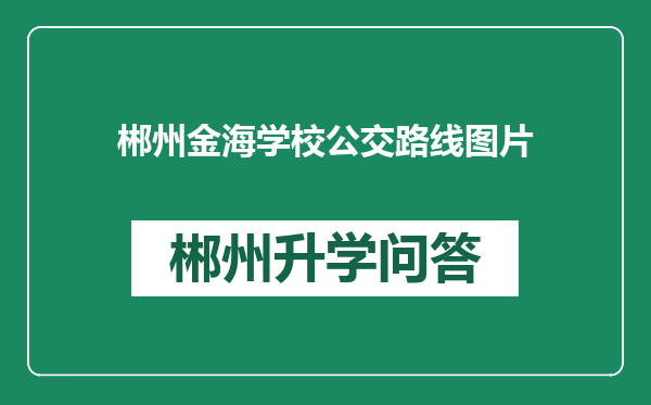 郴州金海学校公交路线图片