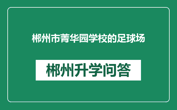 郴州市菁华园学校的足球场