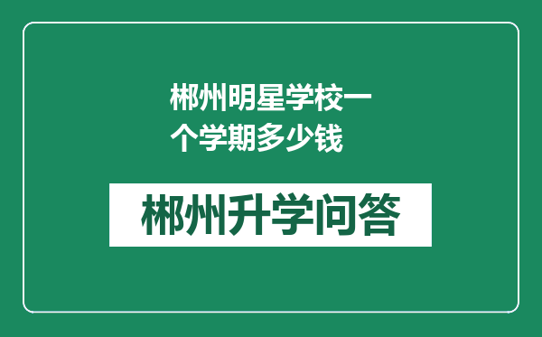 郴州明星学校一个学期多少钱