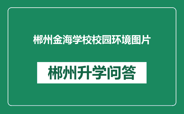 郴州金海学校校园环境图片