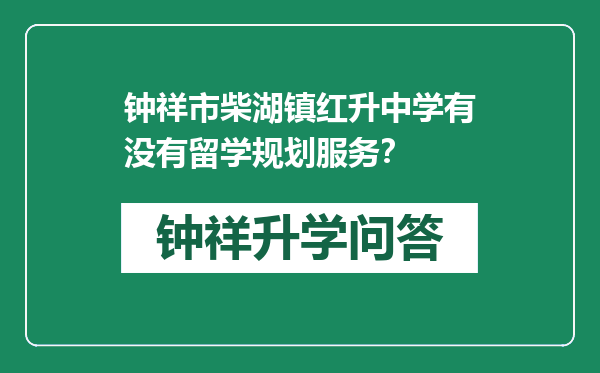 钟祥市柴湖镇红升中学有没有留学规划服务？