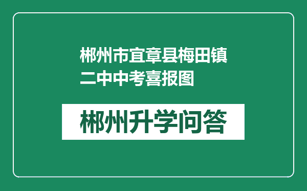 郴州市宜章县梅田镇二中中考喜报图